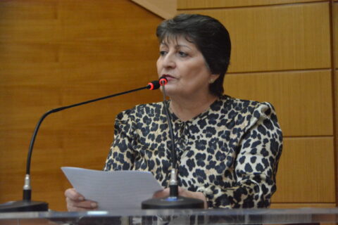 MARIA MENDONÇA