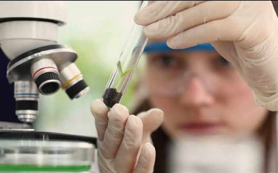 Ciencia: las mujeres representan solo el 28% de los investigadores en el mundo