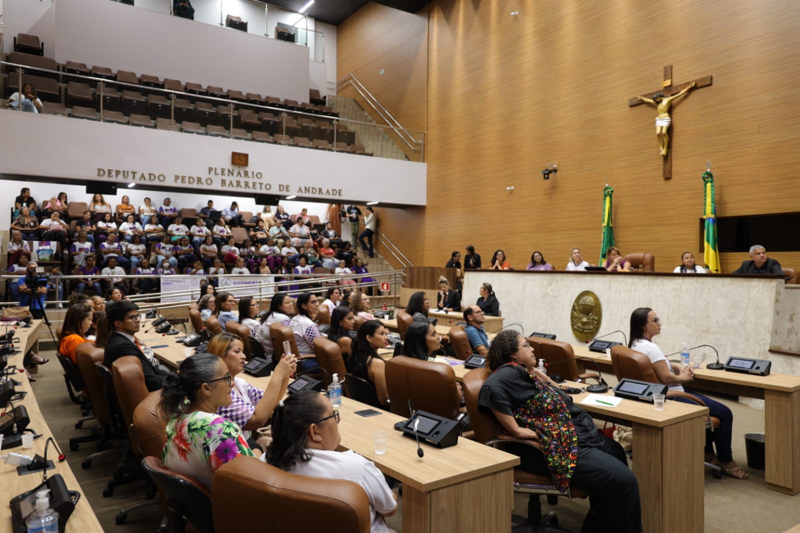 Sessão Especial para conscientização sobre doenças crônicas é realizada na Alese