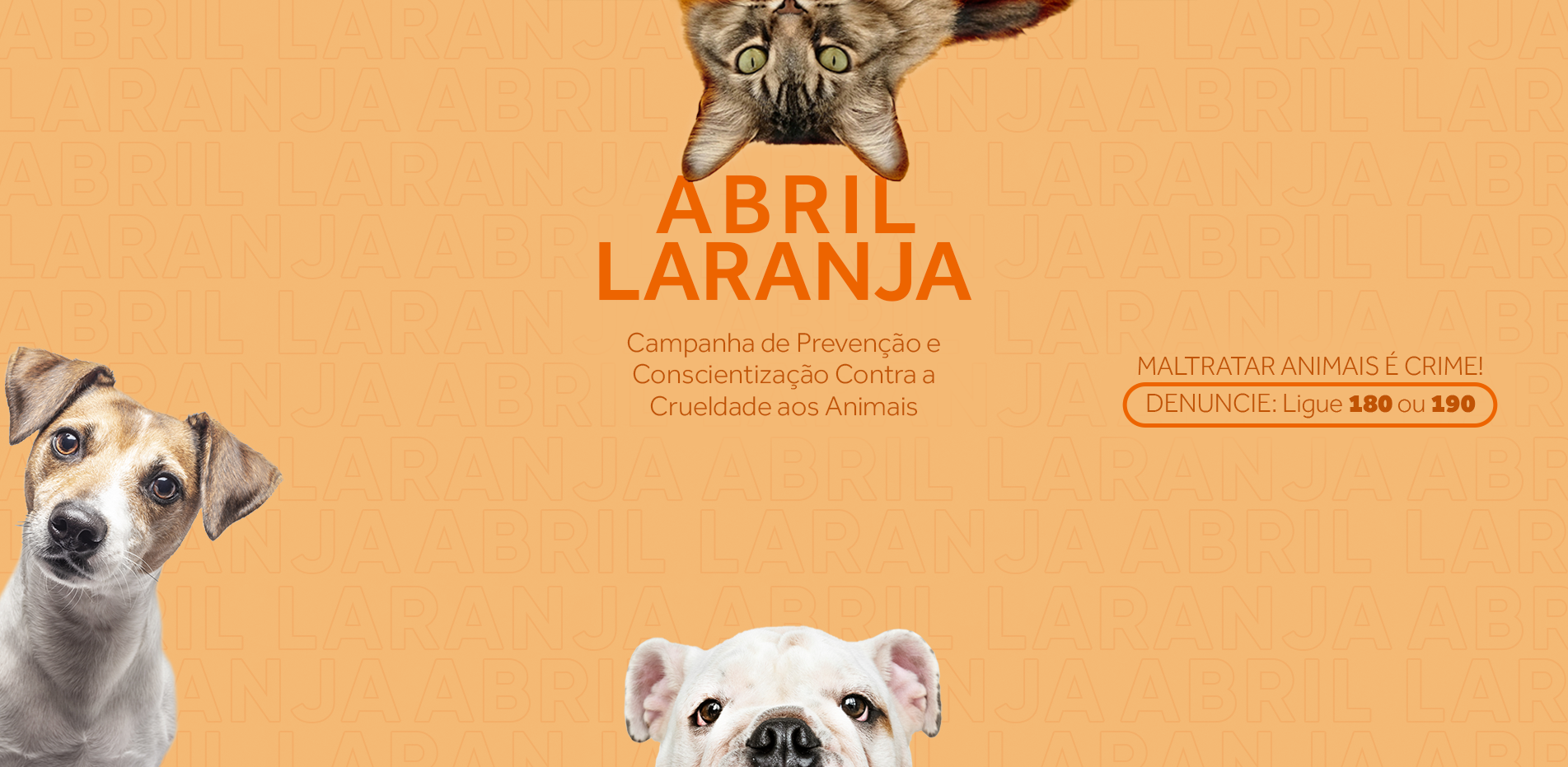 Abril laranja