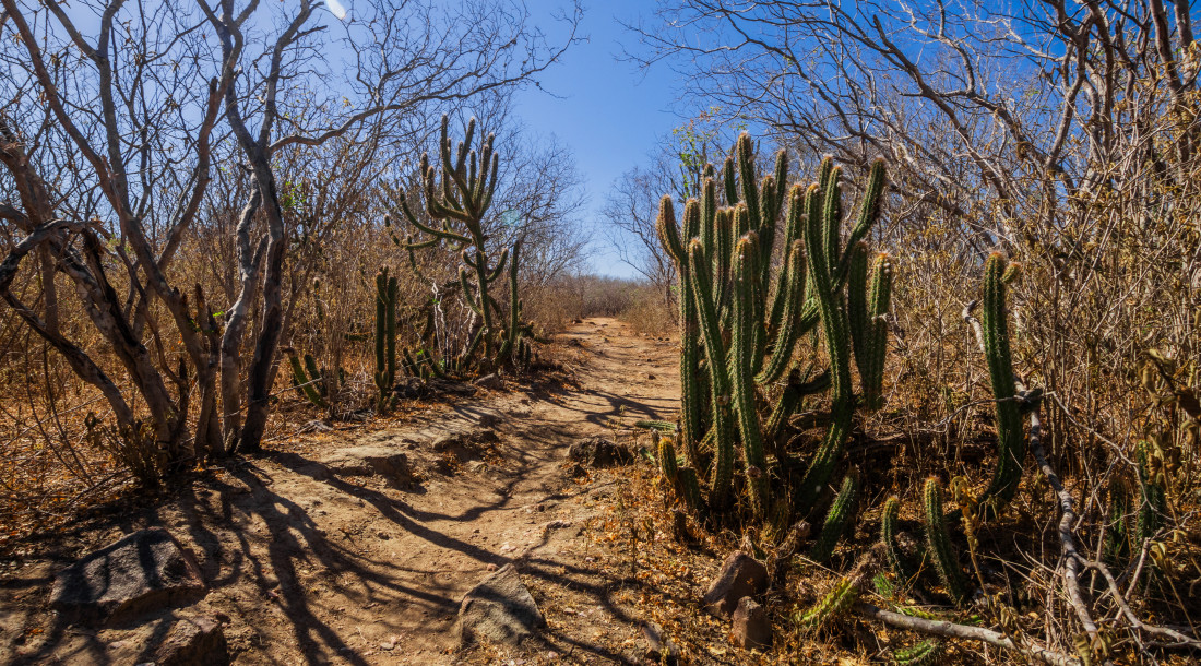 Lei incentiva debate sobre mudanças climáticas