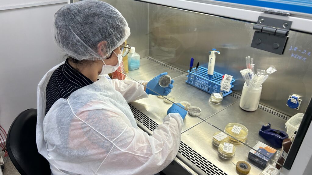 Lei torna obrigatória a notificação de casos de esporotricose em animais