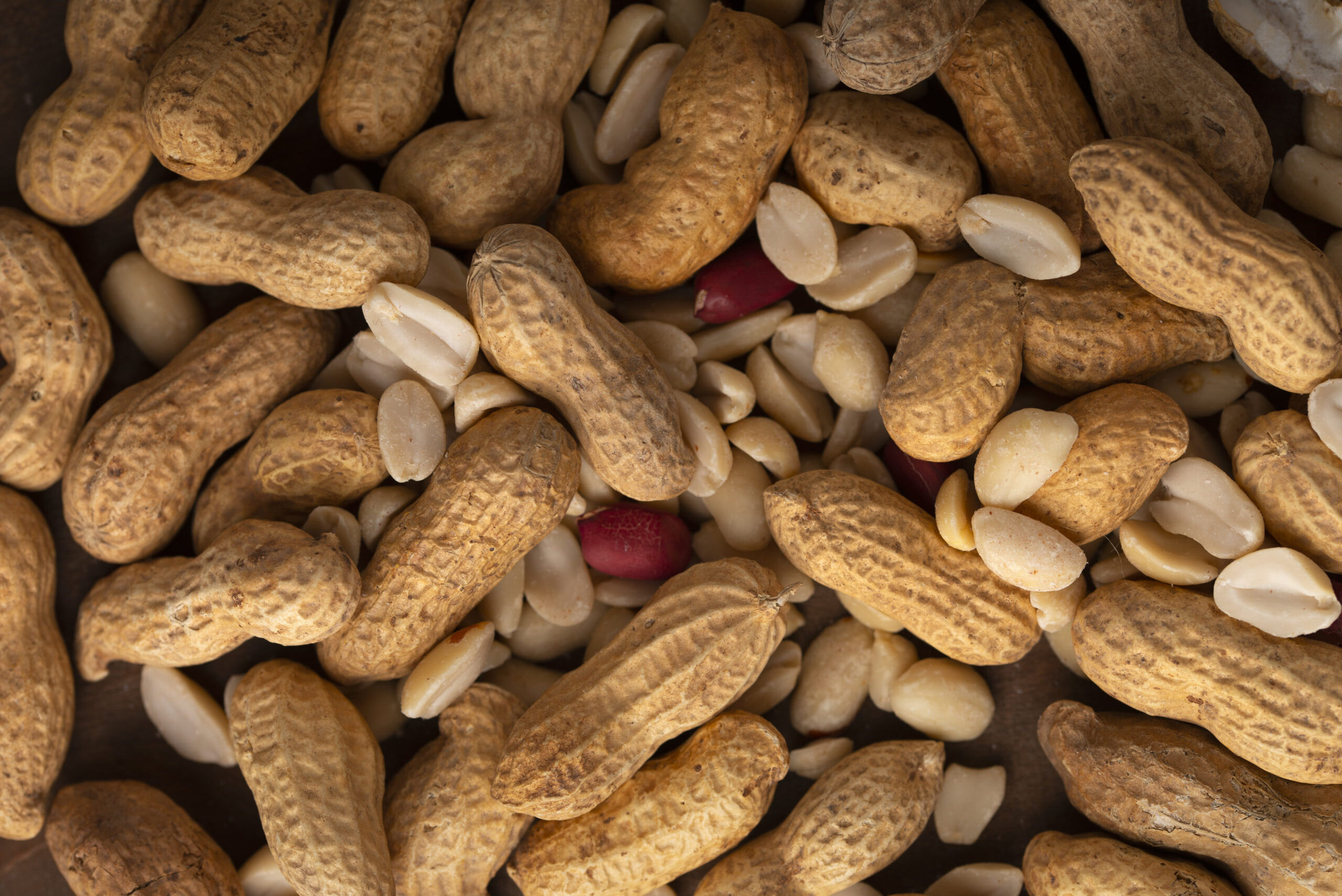 AGORA É LEI: Pedrinhas recebe o título de ‘Capital Sergipana do Amendoim’