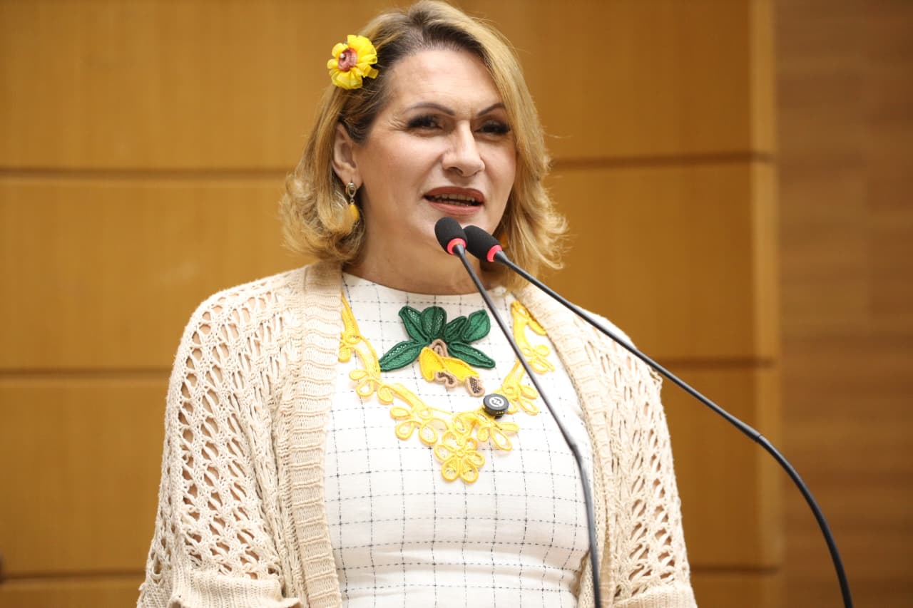 Linda Brasil pede melhorias estruturais para o Colégio Estadual Irmã Maria Clemência