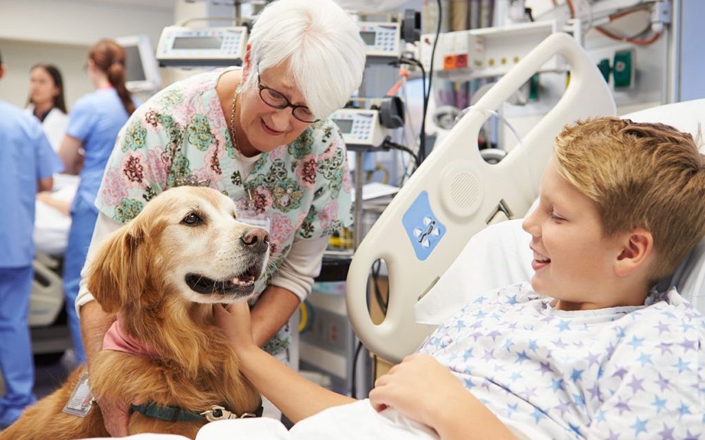 Aprovado projeto que institui a Terapia Assistida por Animais em Sergipe